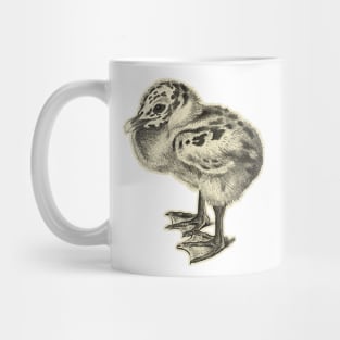 bird baby Mug